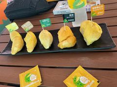 -榴莲BB 四季果园