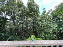 -上海佘山国家森林公园天马山园