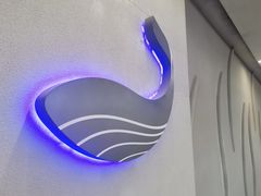 -Gray Whale 灰鲸餐厅(北美N1店)