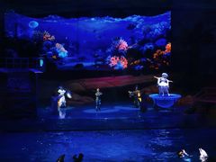 -海合安武汉极地海洋公园