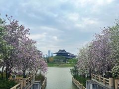 -海珠湖公园