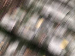 -金钉子远古世界景区