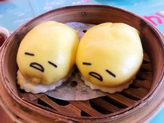 -一笼小幸运