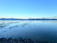 -深圳湾公园(南山区)