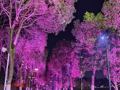 -花博汇(知音花月夜)