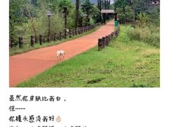 -道林古镇