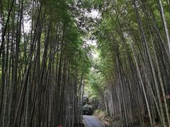 -苏州环秀晓筑养生度假村