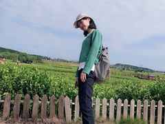 -中华茉莉园