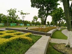 -上海长兴岛郊野公园