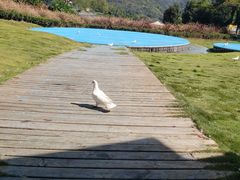 -瓷天下海丝谷