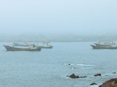 -枸杞岛