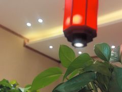 -鸽子窝(宋庄店)