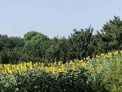 -奥林匹克森林公园北园-停车场