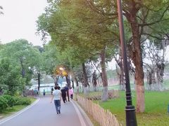 -海珠湖公园