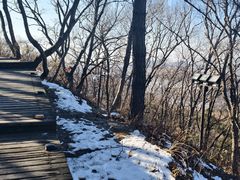 -帽儿山国家森林公园