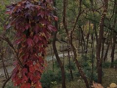 -井塘古村