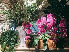 -春暖花开(西溪店)