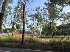 -华侨城湿地公园