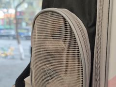 -艾贝尔宠物医院 ·中兽医·宠保定点(北门桥店)