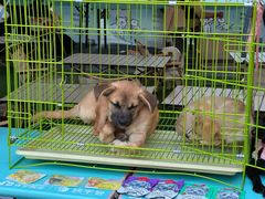 -中海环宇荟