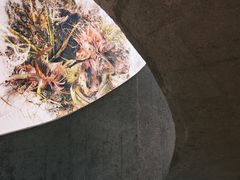 -大馆(前中区警署建築群)