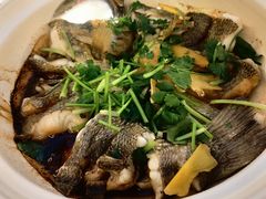 -蔼若春.传承三十年云南菜(金碧公园店)