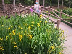 -白水寺森林公园