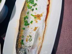黄椒蒸太湖白鱼-羲和雅苑•北京烤鸭(乐园道万象城店)