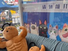 -芭比堂动物医院·心脏专科·夜诊·吉雅分院