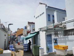 -小印度