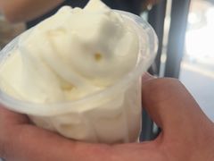 牛奶冰淇淋-白色日记·手作酸奶(麦凯乐店)