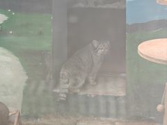 -青藏高原野生动物园