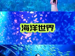 -威海华夏城景区