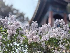 -北海公园