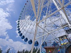 -霸王河欢乐世界