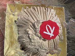 -凯司令西点房(南京东路店)