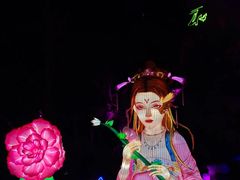 -淄博花灯齐彩城