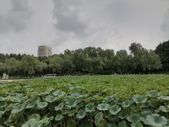 -长春世界雕塑园冰雪艺术天地