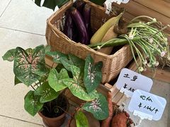 -既白·创意融合料理(海甸岛店)