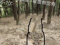 -黄埔油麻山森林公园