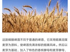 -等待戈多Waiting For Godot(交道口店)
