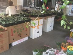 -宝鸡东道花鸟鱼虫市场(吉利花园商场店)