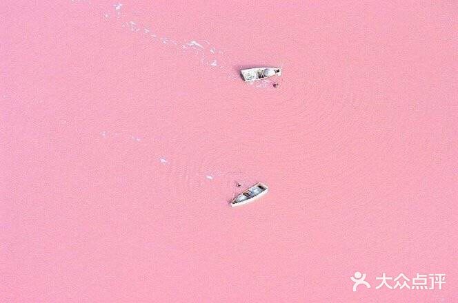 搭乘小型飞机,沿着海岸线飞行不远