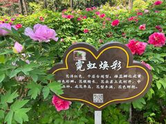 -洛阳市隋唐城遗址植物园