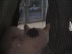 -艾贝尔宠物医院·狂犬免疫点(江山金象城店)