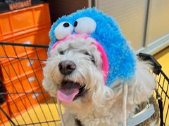 -MARSMART PETS火星宠物超市(1733店)