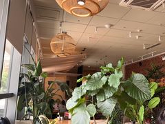 -源本清茶(顺城购物中心店)