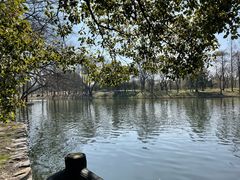 -上海共青森林公园