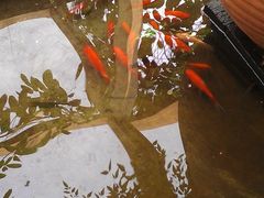 IMAG0208-旅马餐厅(茅家埠店)