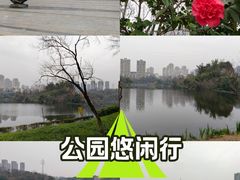 -重庆彩云湖湿地公园